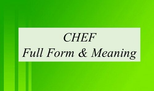 Unraveling the Mystery: What Does “Chef” Stand For?