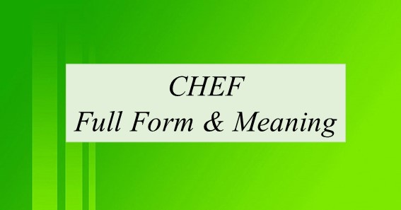 Unraveling the Mystery: What Does “Chef” Stand For?